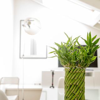 IN-CLINIC HEALTH SCREENING